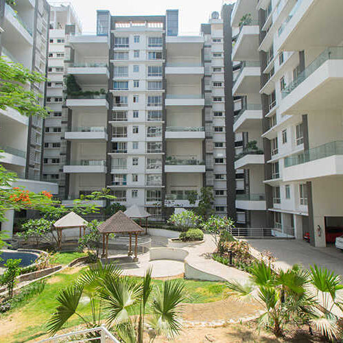 For More Info Book An Appointment At ₹999 💸