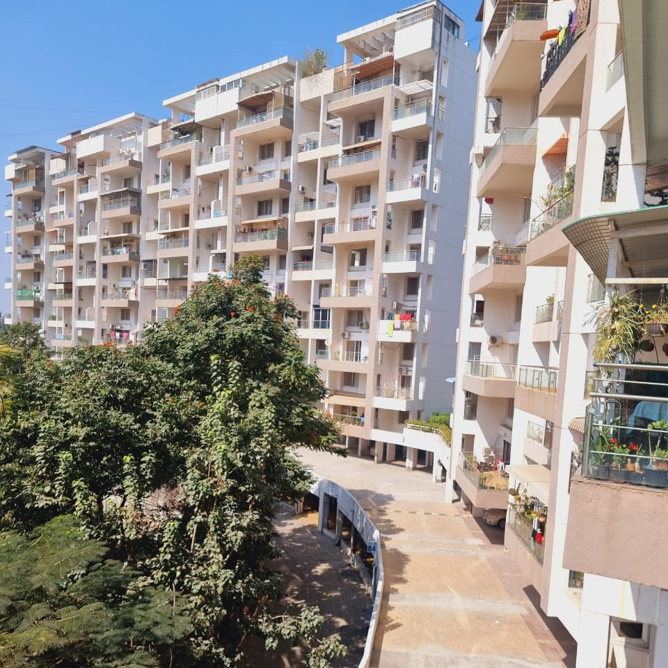 For More Info Book An Appointment At ₹999 💸