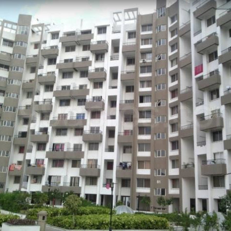 For More Info Book An Appointment At ₹999 💸